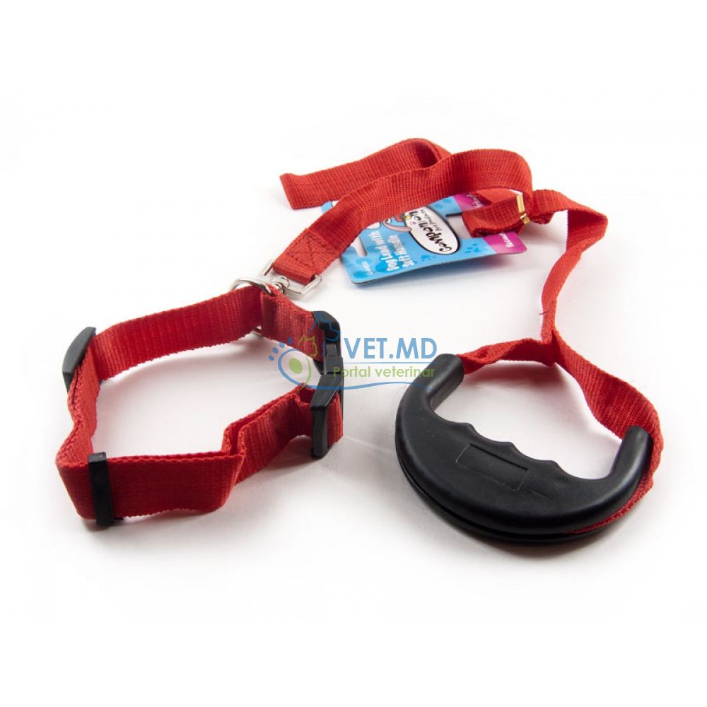 Поводок + Ошейник 2,5см 1,2м c ручкой